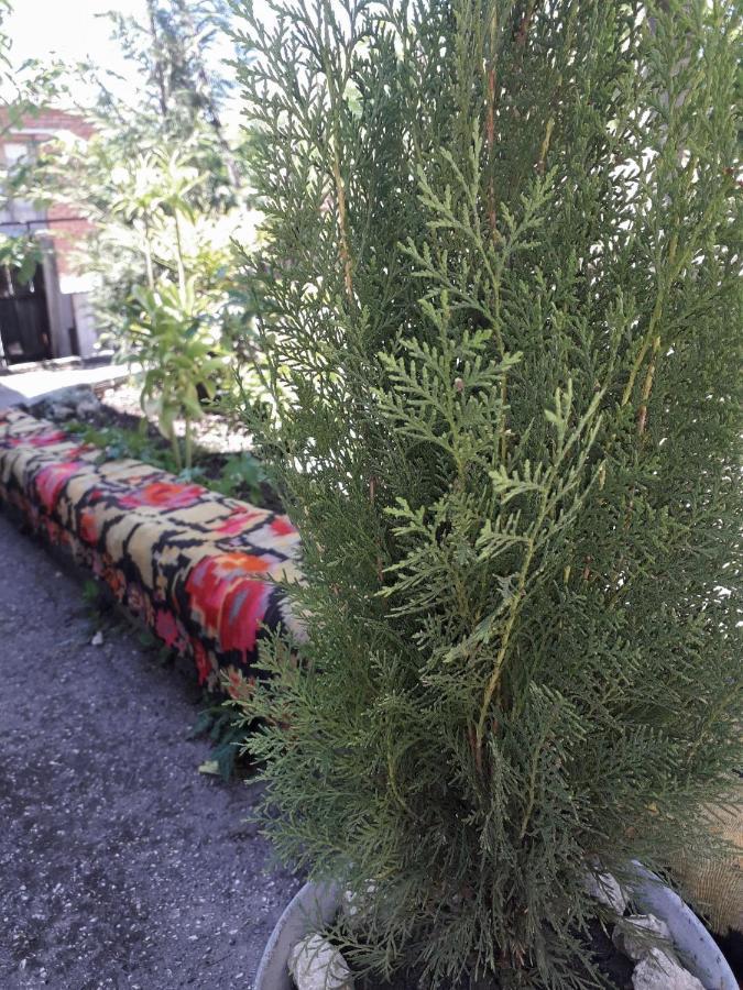 Guest House Meri Poppins Dedoplis Tskaro Exterior foto